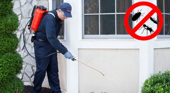 Özkanlar Dezenfeksiyon böcek ilaçlama ve haşere kontrolü — ilaclama-tr.com
